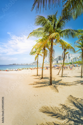 Palms with sunshine on Copacabana Beach. Lighrt effect. Rio de Janeiro  Brazil