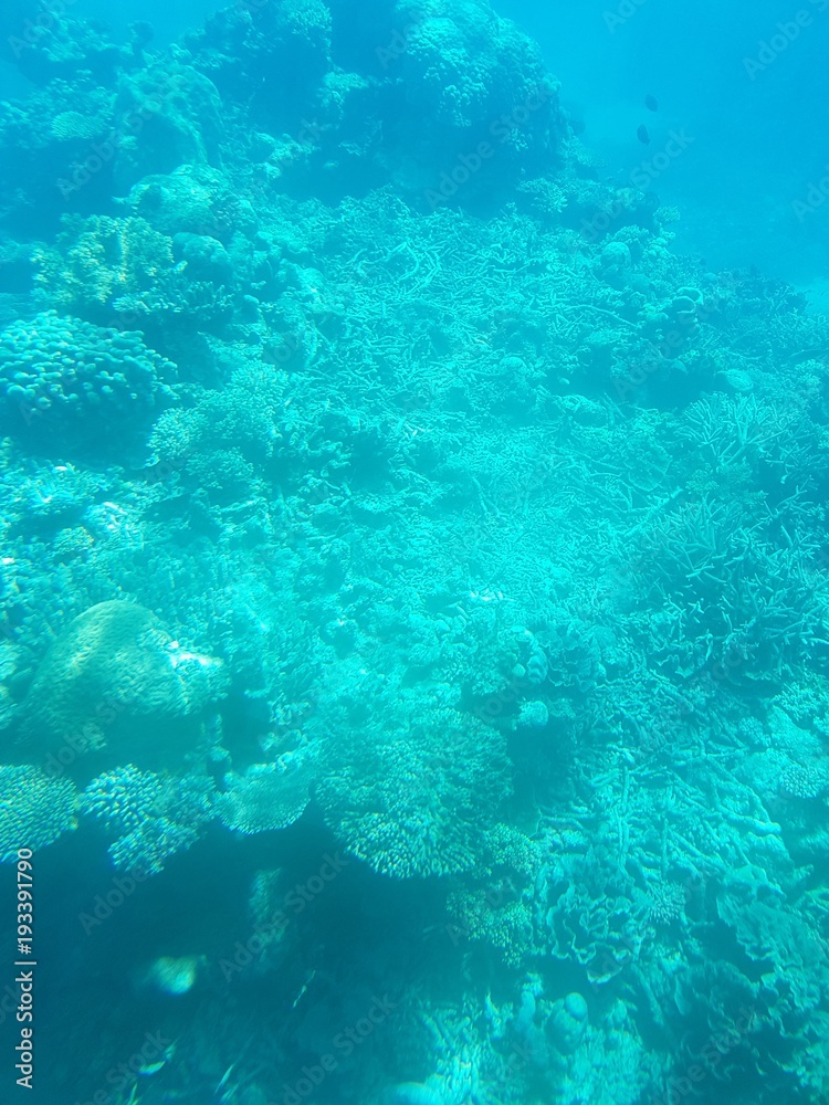 Barrier Reef, Cairns