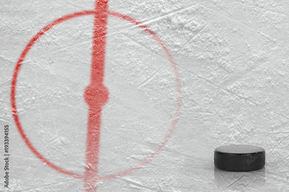 Naklejka premium Fragment of the hockey arena with a central circle and washer