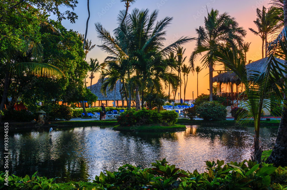 Multicolored tropical dawn with pond and palm trees, white pelican Multicolored tropical dawn with pond and palm trees, white pelican
