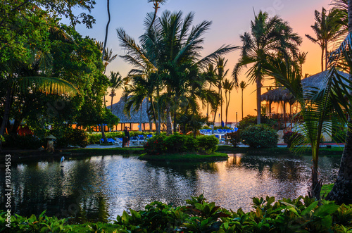Multicolored tropical dawn with pond and palm trees, white pelican