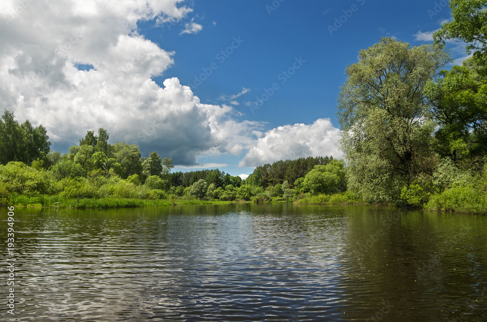 The lake is surrounded by trees along the banks The lake is surrounded by trees along the banks