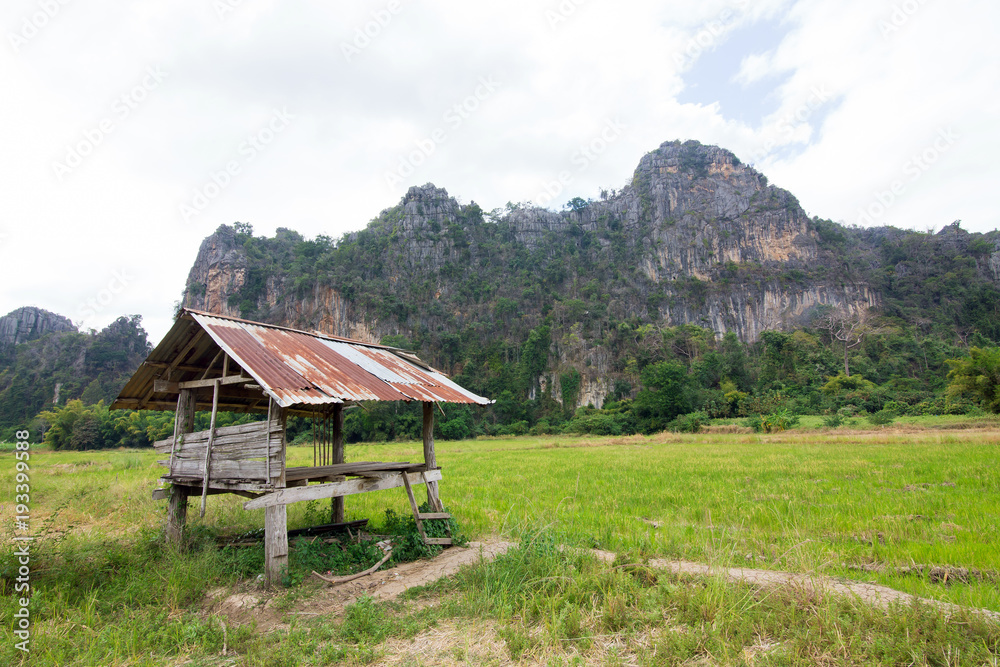 Ban Mung at Noen maprang Phitsanulok Thailand.