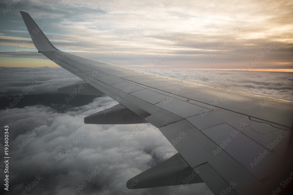 Obraz premium Plane Wing