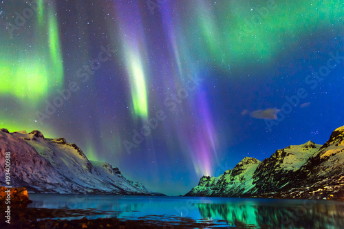 The polar lights in Norway . Ersfjord. Tromso 