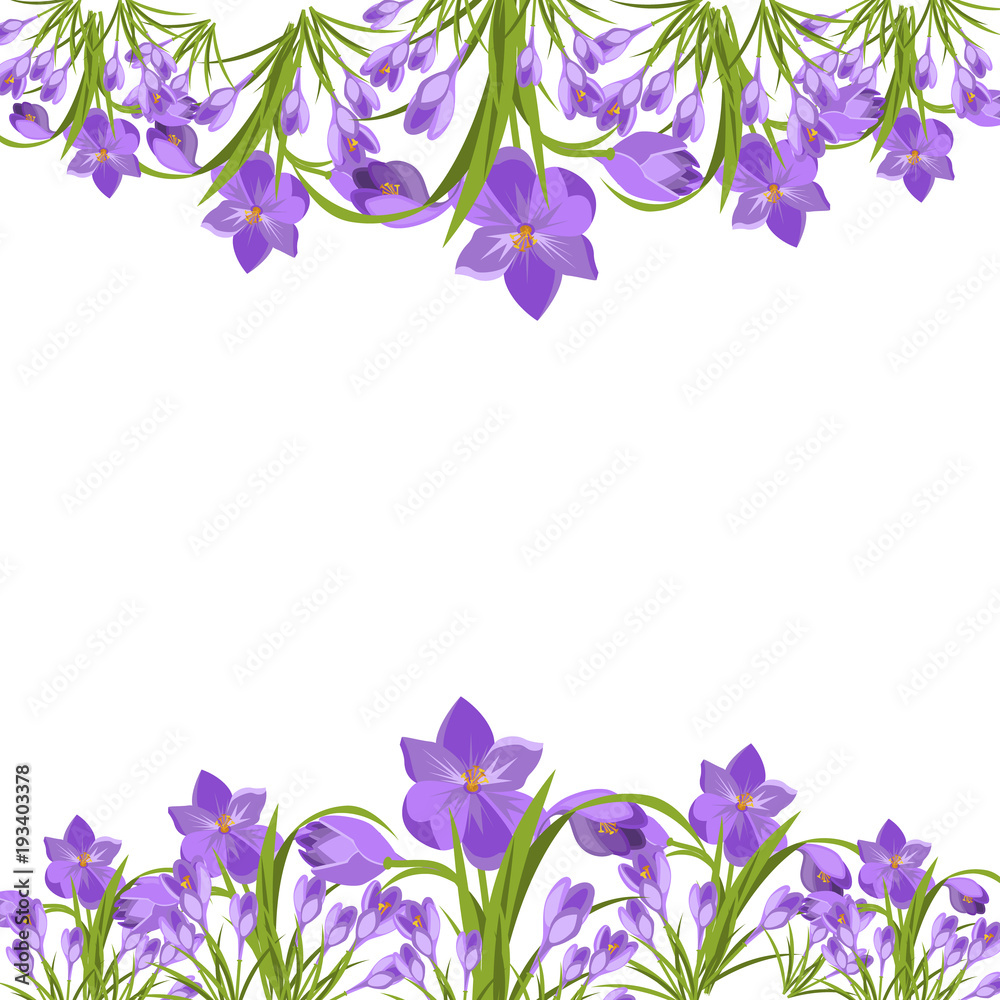 Purple crocuses in the snow vector. Purple crocuses in the snow vector.