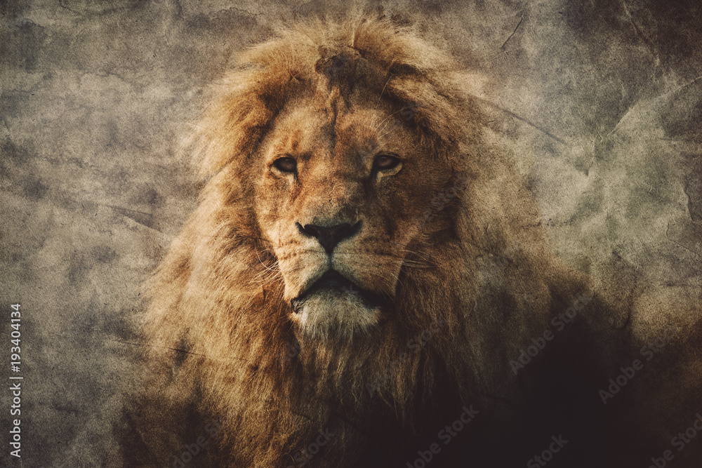 Naklejka Majestatyczny lew w rocznika portrecie.