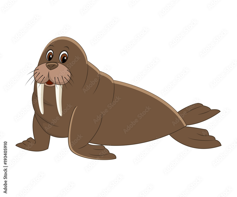 Cute cartoon walrus. Stock Vector | Adobe Stock