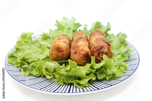Homemade Spring rolls on a plate