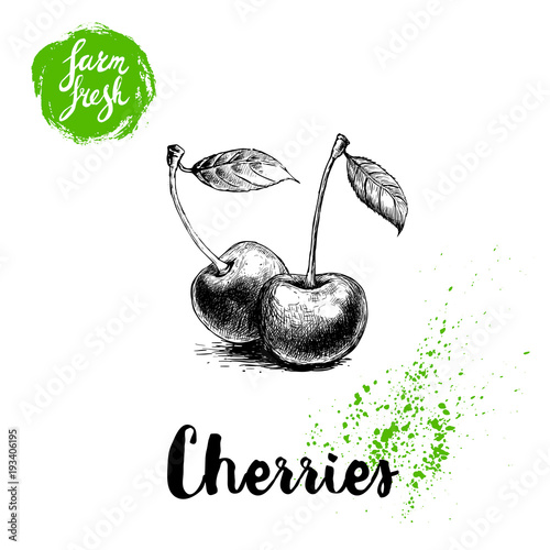 Hand drawn sketch style cherries poster. Group farm fresh berries with leaf. Eco food fruits vector illustration.
