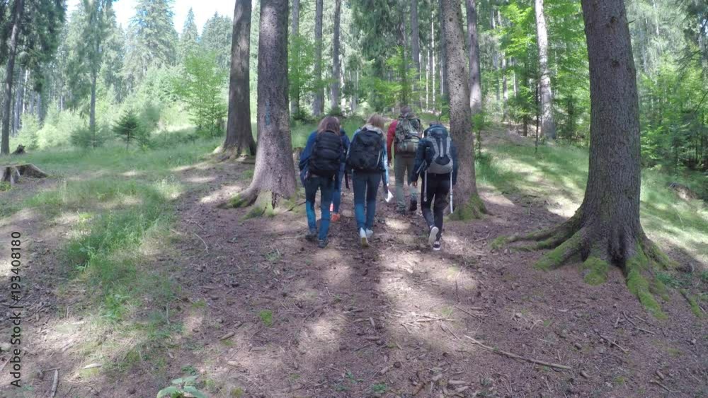 Group of young and healthy people hiking through woods Group of young and healthy people hiking through woods
