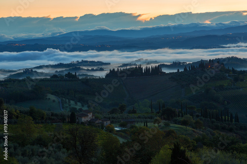 Landscape with a morning fog and vineyards in the vicinity of the city of San Gimignano  Tuscany