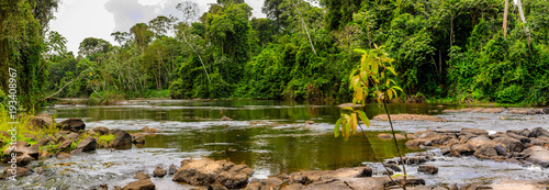 The beautiful nature of Surinam