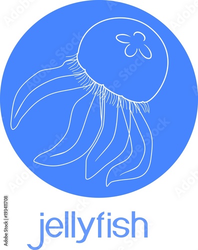 Blue jellyfishes or Aurelia aurita on blue background with title