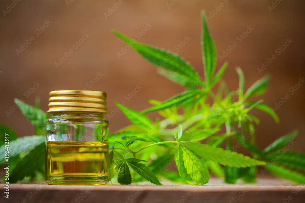 A cannabis leaf and a bottle of hemp oil on a wooden table A cannabis leaf and a bottle of hemp oil on a wooden table