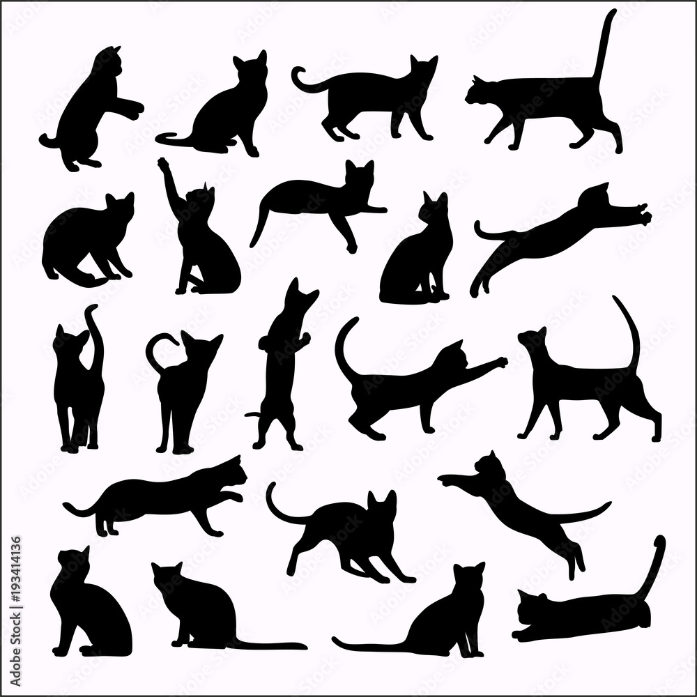 Vector silhouettes of cats on white background