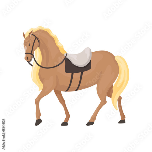 Thoroughbred horse, equestrian professional sport vector Illustration