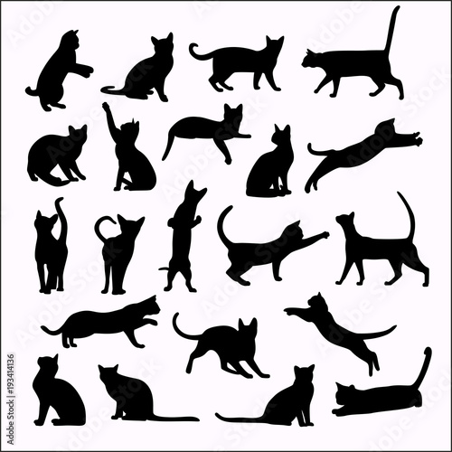 Vector silhouettes of cats on white background © daudau992