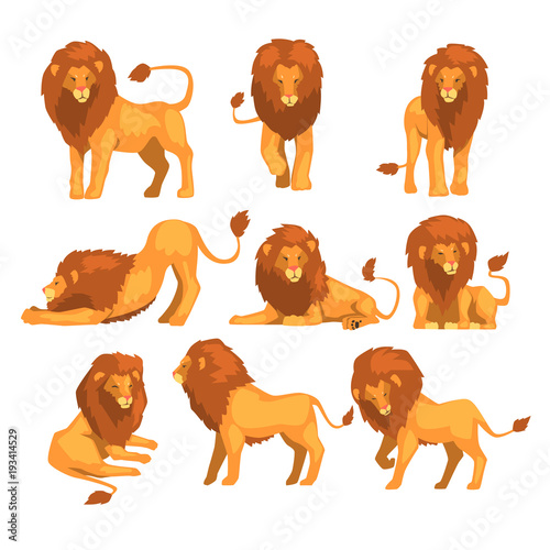 Proud powerful lion character in different actions set of cartoon vector Illustrations on a white background