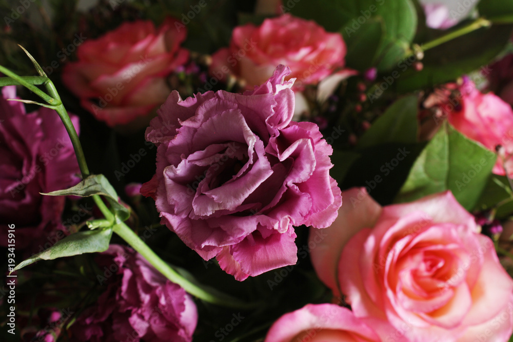 background flowers rose bud abstraction background flowers rose bud abstraction