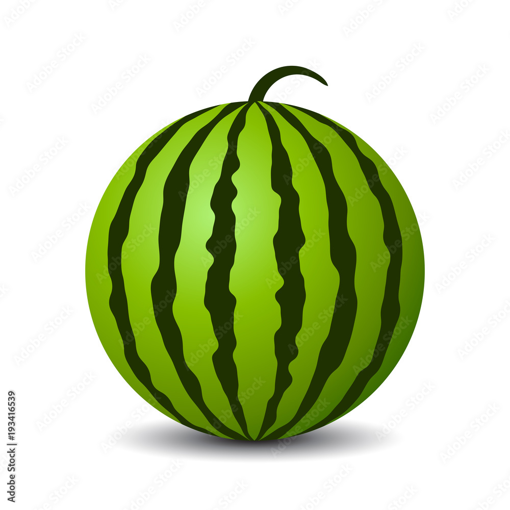 Round watermelon vector icon Round watermelon vector icon