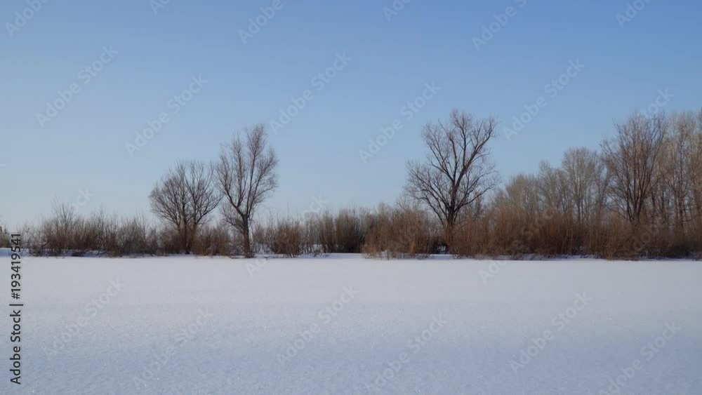 Winter landscape. A snow-covered field, in the distance stands the bushes and trees