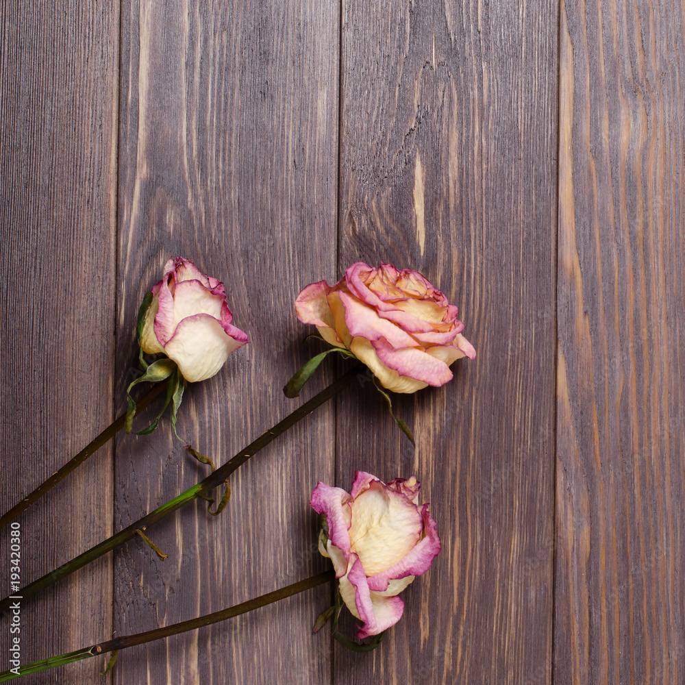 Dry roses on wooden background