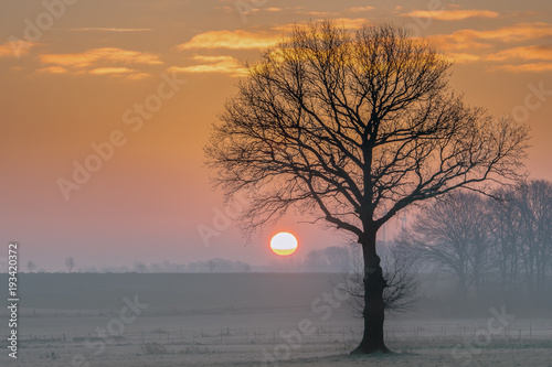 A wonderful sunrise with a golden sunshine on a winter morning with ground frost. Concept: landscape or sunset