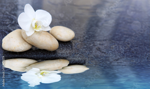 White orchid flower and spa stone reflected in the water.