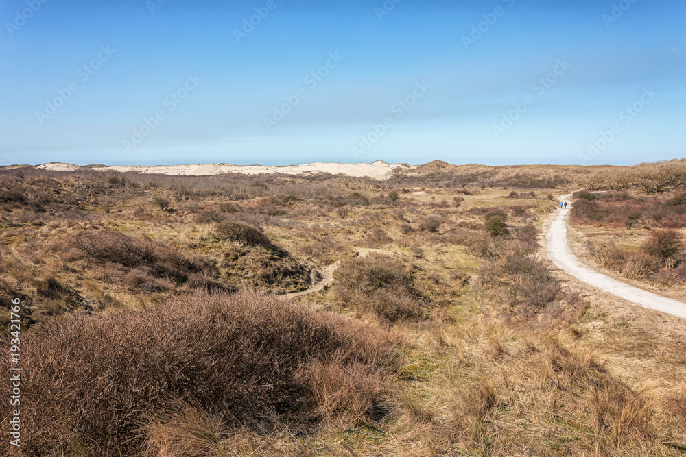 Typical Dutch dune landscape that is part of the Zuid Kennemerland National Park