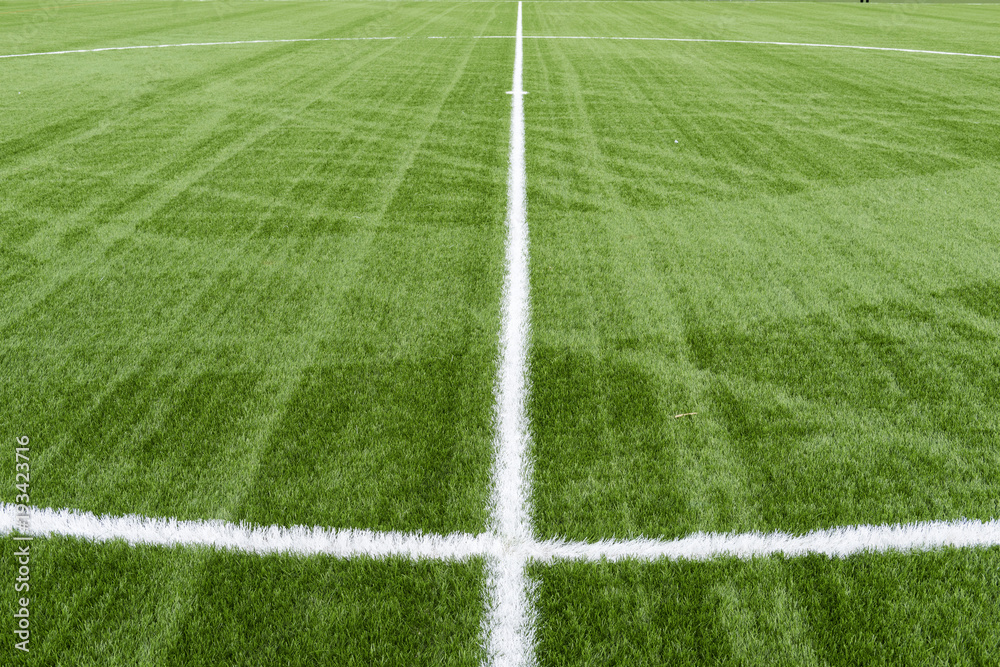 Obraz premium Campo de futbol