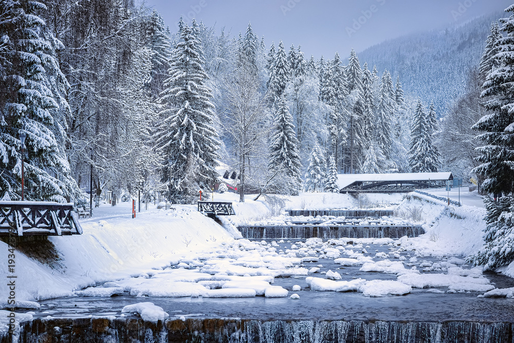 Beautiful winter landscape of forest and river