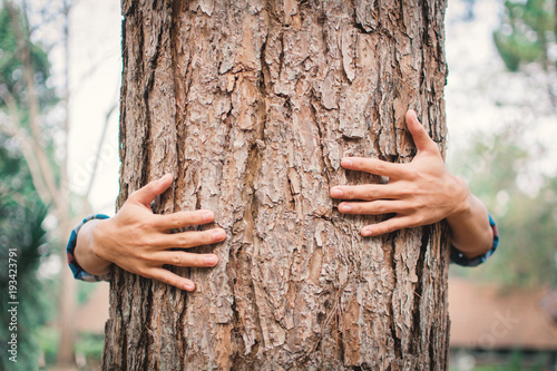 Man hug big tree color of hipster tone selective soft focus, concept nature and people protect environment