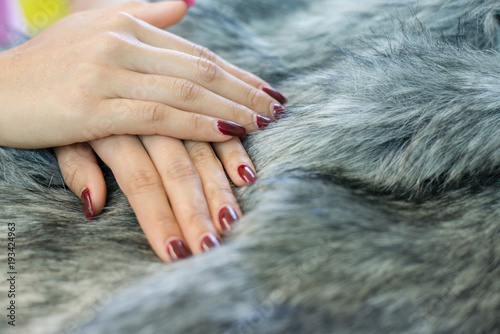 nail paint . beautiful female hand with colorful