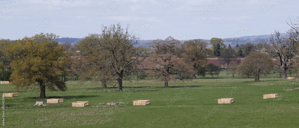 Fototapeta premium gardens estate and grounds hanbury hall worcestershire england uk
