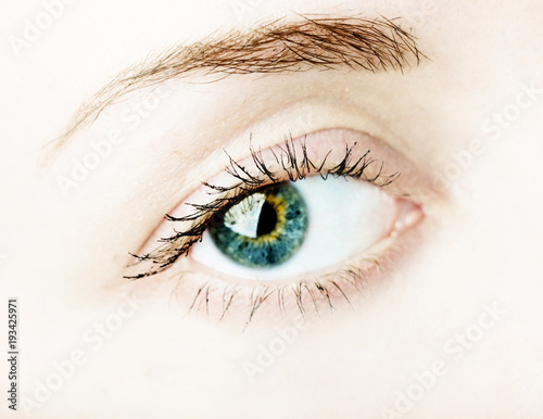 Female eye with long eyelashes