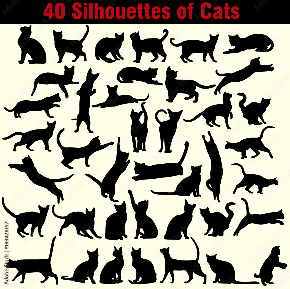 Vector silhouettes of cats on white background 