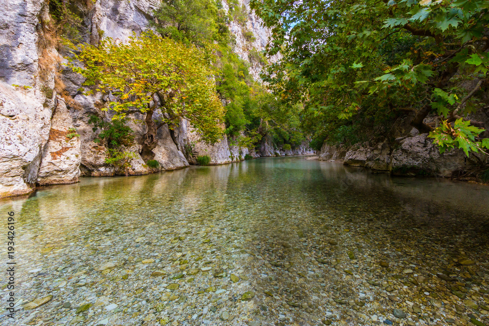 trees, vegetation,  rocks at Acheron river in Greece
