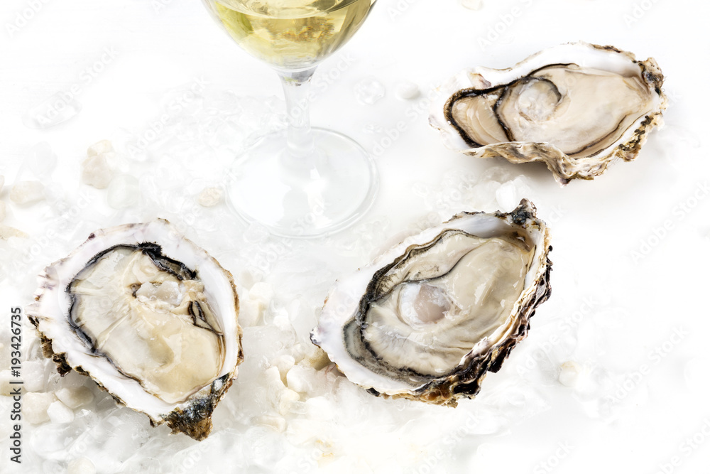 Closeup photo of three oysters with white wine and copy space Closeup photo of three oysters with white wine and copy space