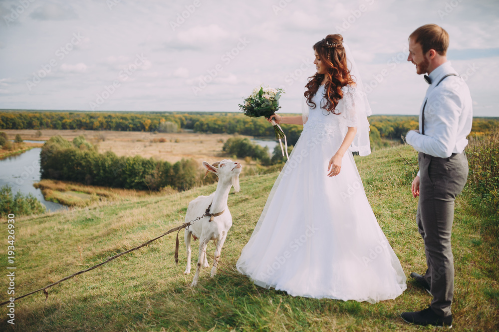 Two white goats in the image of the bride and groom