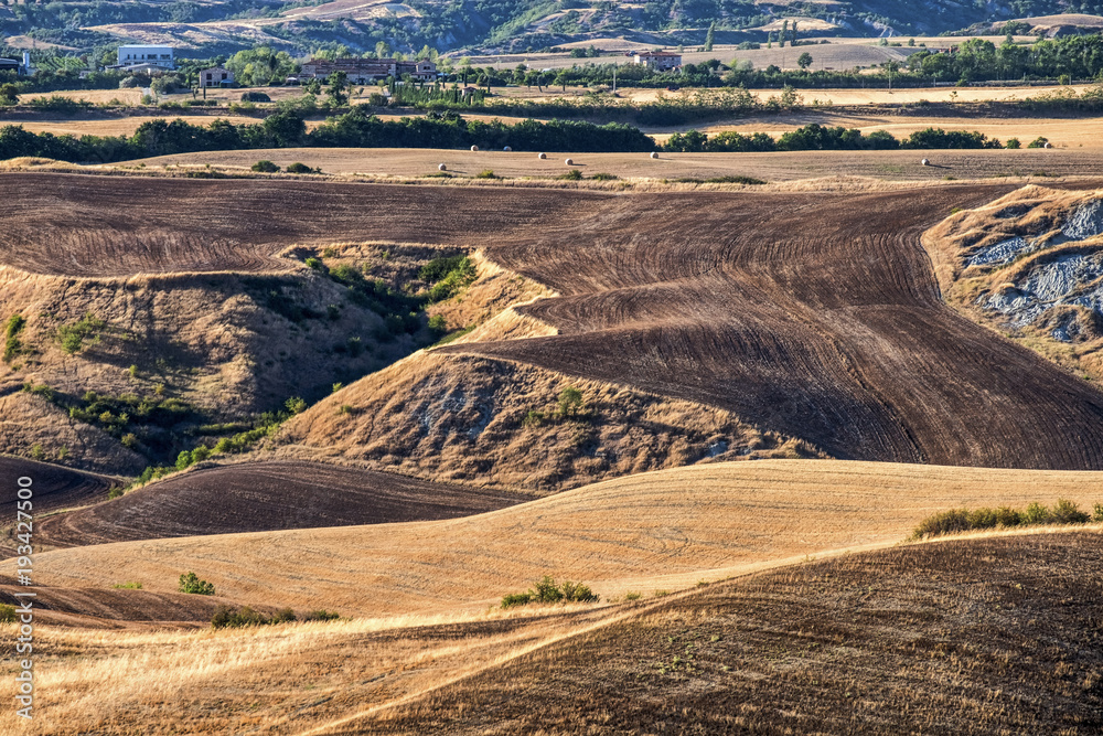 Fototapeta premium Summer landscape near Asciano
