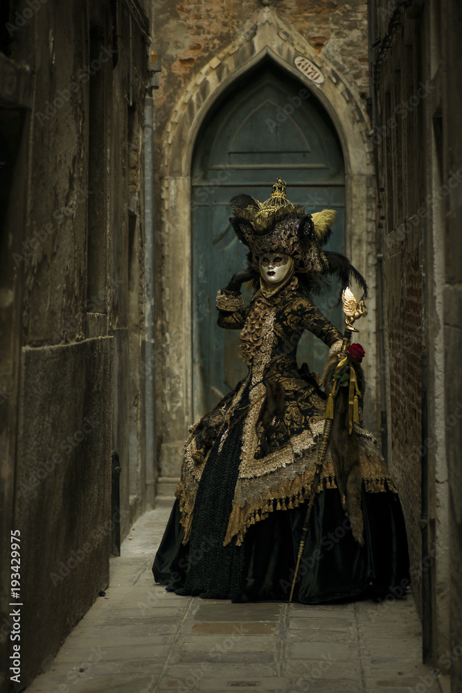 Beautiful costume at the Carnival in Venice Beautiful costume at the Carnival in Venice