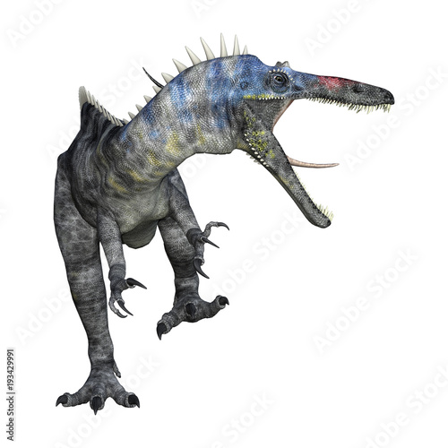 3D Rendering Dinosaur Suchomimus on White
