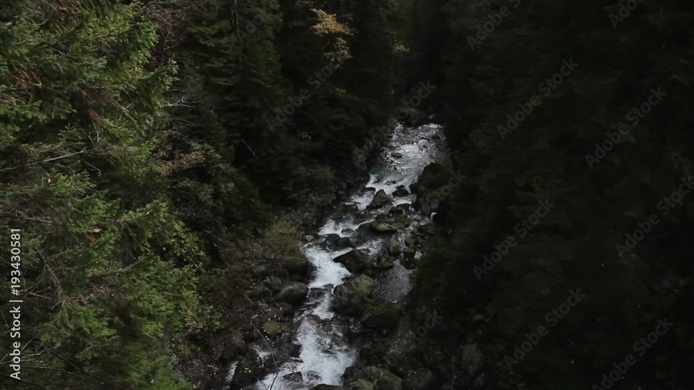 Powerful mountain river with waterfalls in pine tree forest in High Tatra mountains (Vysoke Tatry), Poland near Zakopane, Morskie Oko lake. Powerful mountain river with waterfalls in pine tree forest in High Tatra mountains (Vysoke Tatry), Poland near Zakopane, Morskie Oko lake.