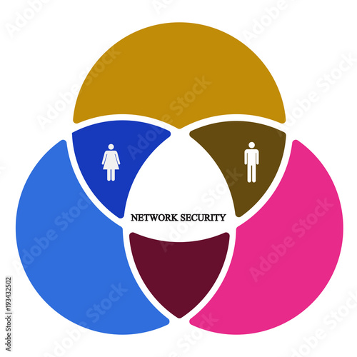 Business infographics. Pie chart with the inscription:network security