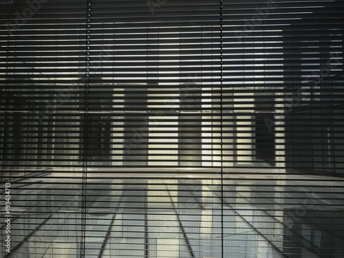 Window