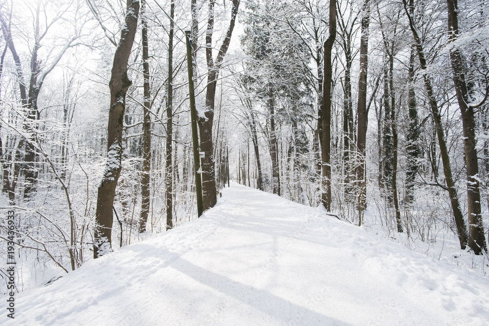 Winterausflug Winterausflug