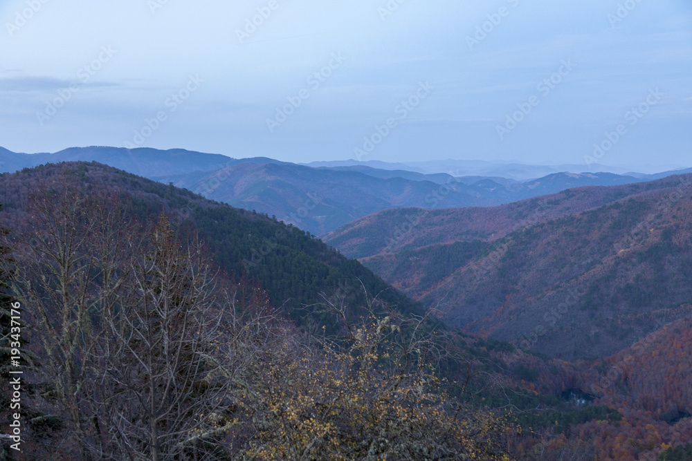 beautiful nature view in summer beautiful nature view in summer