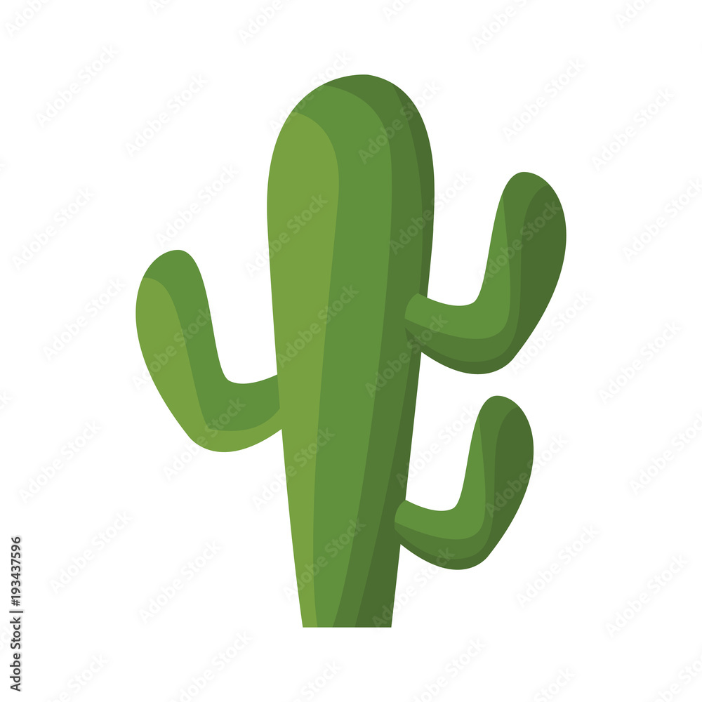 Cactus plant desert icon vector illustration graphic design Cactus plant desert icon vector illustration graphic design