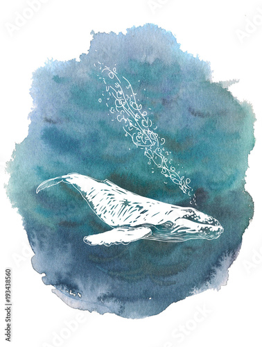 Blue sea water watercolor ink hand drawn stroke isolated paper grain texture spot on white background for design, decoration. White whale sketch photo